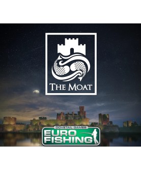 Euro Fishing - The Moat DLC Steam Key GLOBAL
